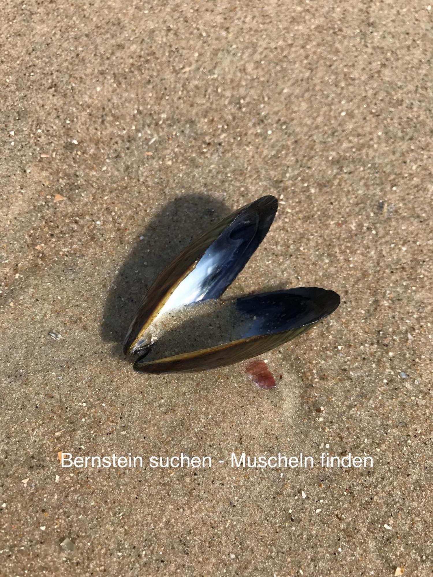 Eschen'S Allee Аурих Экстерьер фото